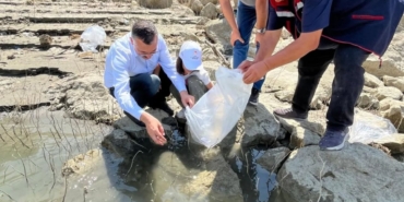 158-bin-yavru-sazan-baraj-ve-goletlere-birakildi