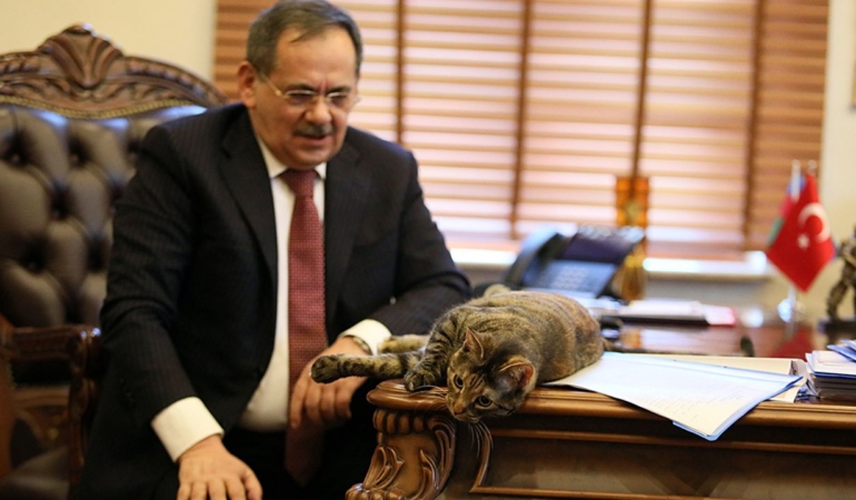 2022-ocak-20220121-2-51828551-72790543