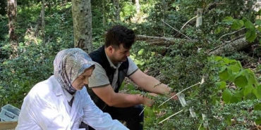 5-bin-faydali-bocek-dogaya-salindi