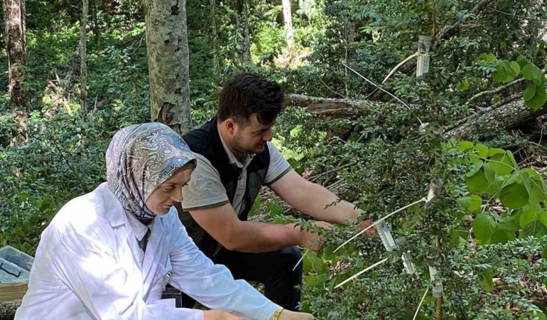5 bin faydalı böcek doğaya salındı
