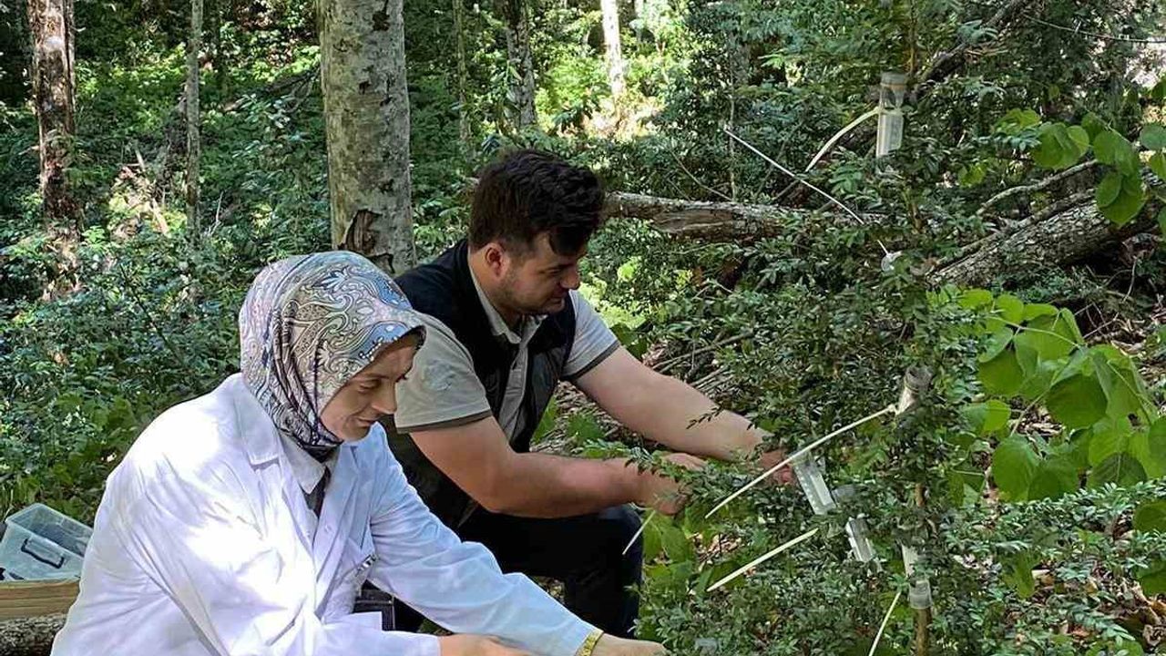 5-bin-faydali-bocek-dogaya-salindi