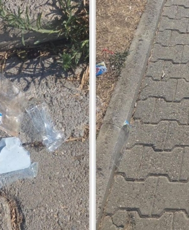 527717643-1192856612886203-7946498121962453692-n