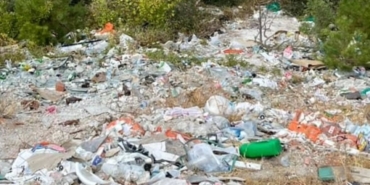 531409661-1320945169819271-7639086407356621780-n