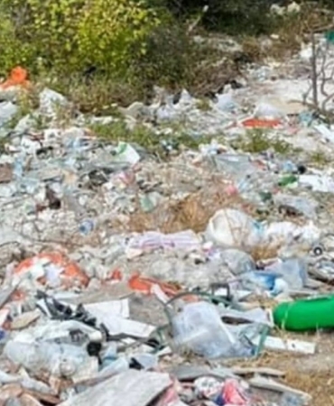 531409661-1320945169819271-7639086407356621780-n