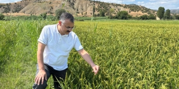 534533618-24025455957150094-7916717557373241049-n