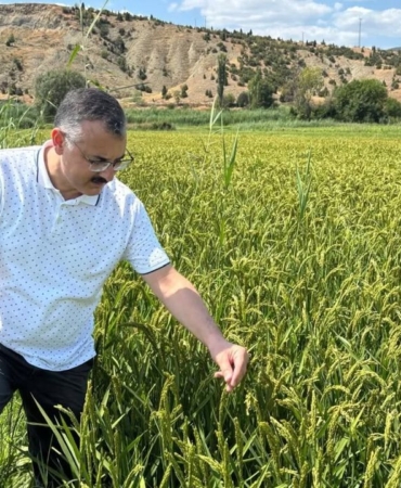 534533618-24025455957150094-7916717557373241049-n