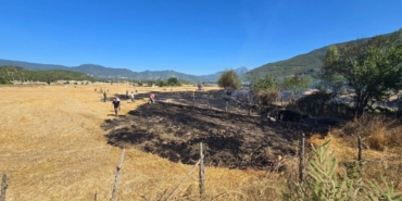 534960307-24006146659081024-8840255807911359952-n