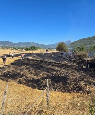 534960307-24006146659081024-8840255807911359952-n