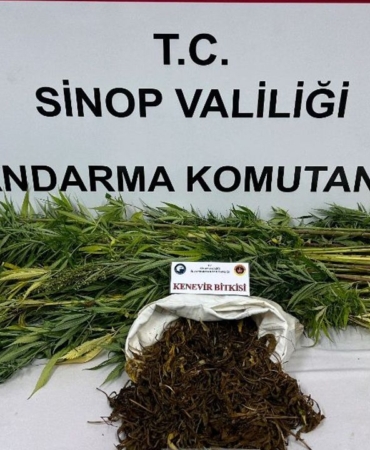 540204764-1088439846752631-6762284676813084837-n