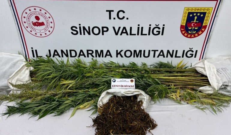 Sinop’ta narkotik operasyonu: 1 zanlı yakalandı