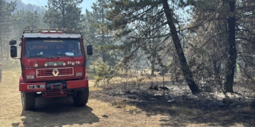 a-a-20250810-38793188-38793181-s-i-n-o-p-t-a-c-i-k-a-n-o-r-m-a-n-y-a-n-g-i-n-i-n-a-m-u-d-a-h-a-l-e-e-d-i-l-i-y-o-r