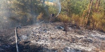 a-a-20250816-38846602-38846600-s-i-n-o-p-t-a-c-i-k-a-n-o-r-m-a-n-y-a-n-g-i-n-i-n-a-m-u-d-a-h-a-l-e-e-d-i-l-i-y-o-r