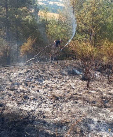 a-a-20250816-38846602-38846600-s-i-n-o-p-t-a-c-i-k-a-n-o-r-m-a-n-y-a-n-g-i-n-i-n-a-m-u-d-a-h-a-l-e-e-d-i-l-i-y-o-r