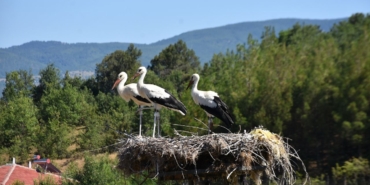 a-a-20250818-38859550-38859546-s-i-n-o-p-t-a-k-i-c-u-m-a-o-v-a-s-i-n-d-a-b-u-y-i-l-l-e-y-l-e-k-g-o-c-u-g-e-c-i-k-t-i