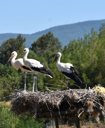 a-a-20250818-38859550-38859546-s-i-n-o-p-t-a-k-i-c-u-m-a-o-v-a-s-i-n-d-a-b-u-y-i-l-l-e-y-l-e-k-g-o-c-u-g-e-c-i-k-t-i