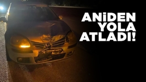anidenyolaatladi