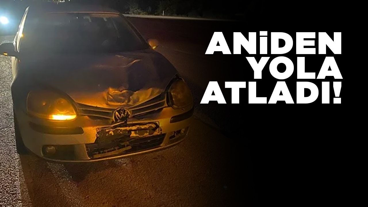 anidenyolaatladi