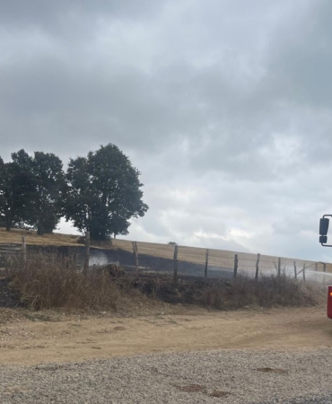 aniz-yangini-agaclara-sicramak-uzereyken-kontrol-altina-alindi