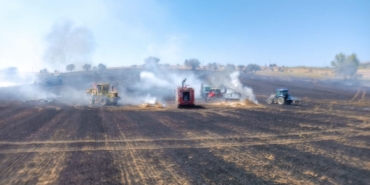 aniz-yangininda-250-donum-alan-yandi