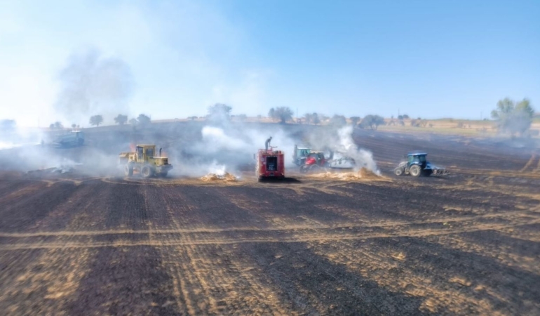 aniz-yangininda-250-donum-alan-yandi