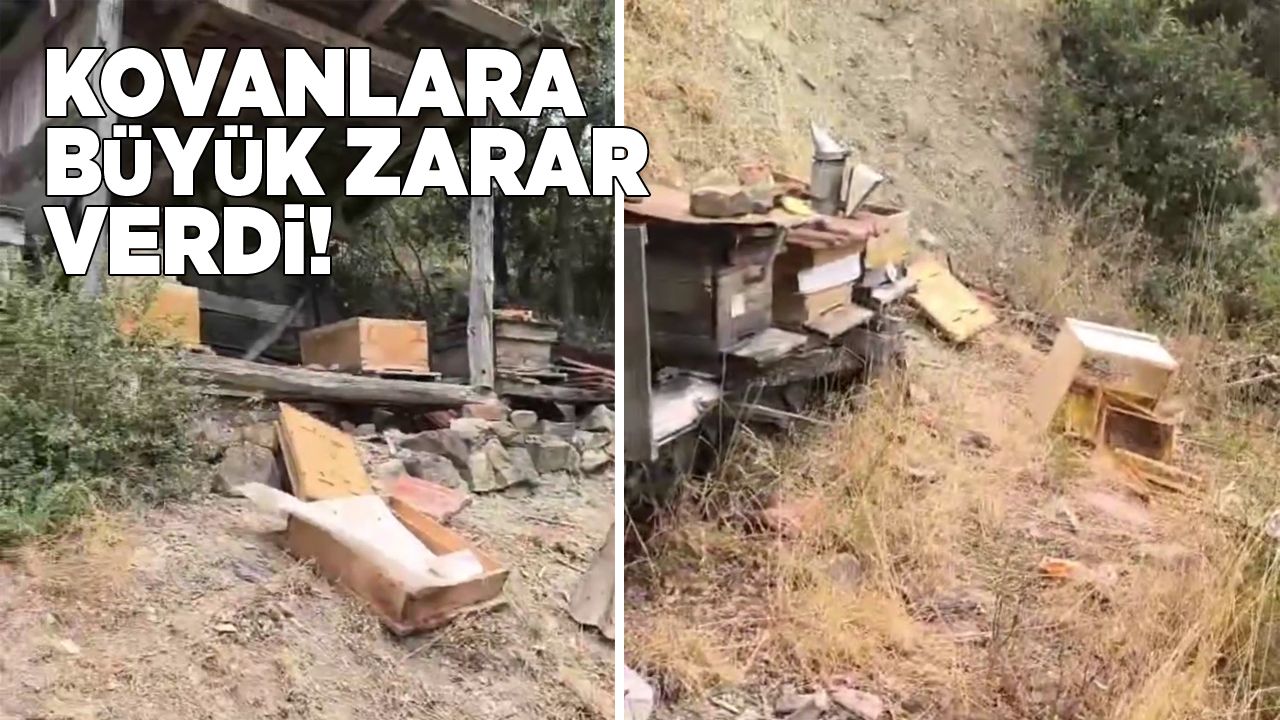 ayisaldirisi