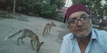 bahcesine-gelen-tilkileri-besledi