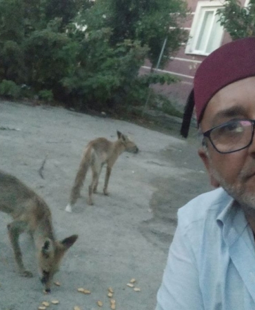 bahcesine-gelen-tilkileri-besledi