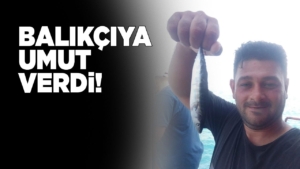 balikciyaumutverdi