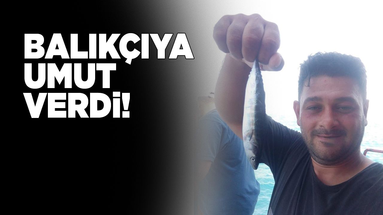 balikciyaumutverdi