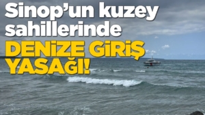 d-e-n-i-z-y-a-s-a-k-1-1