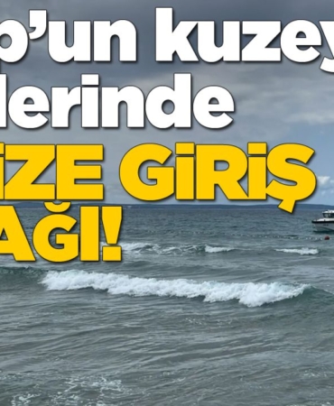 d-e-n-i-z-y-a-s-a-k-1