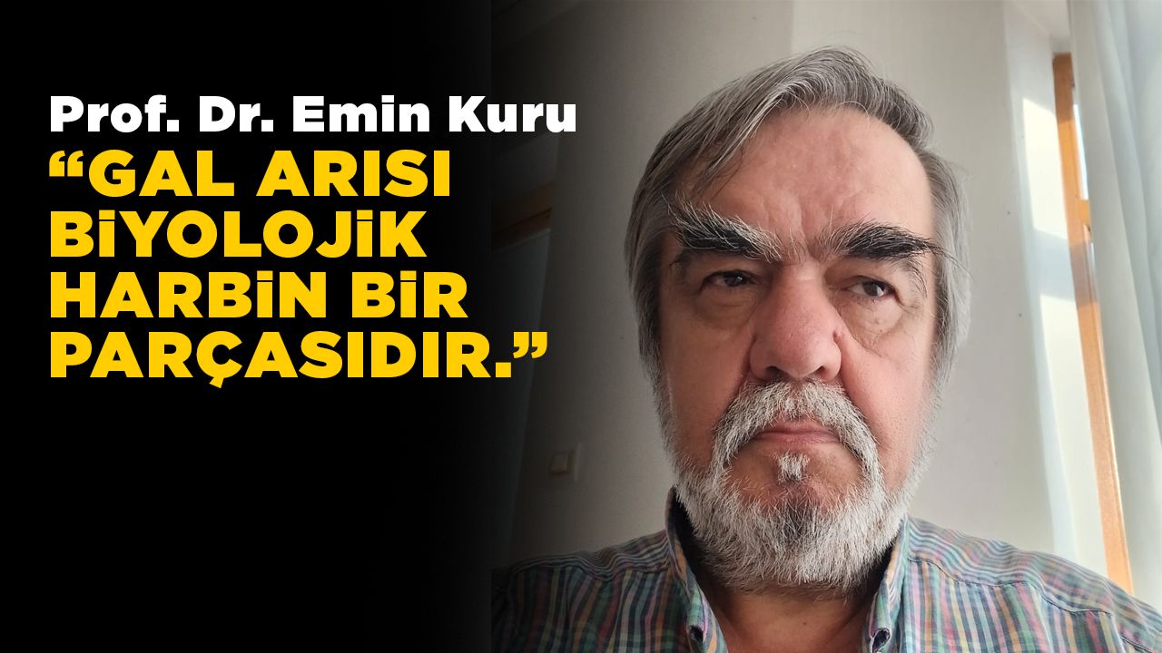 eminkurugalarisi