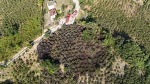 findik-bahcesinde-cikan-yangina-mudahale-edildi