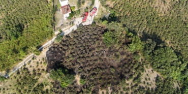 findik-bahcesinde-cikan-yangina-mudahale-edildi