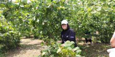 findik-tariminda-ornek-proje