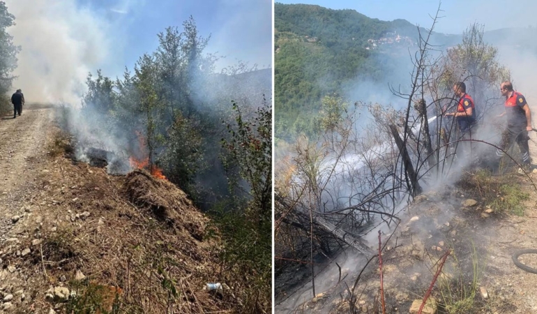 Sinop’ta ormanlık alanda çıkan yangın korkuttu