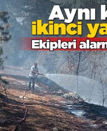 htyt