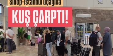 i-m-g-20250820-002733-404