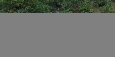 kahverengi-kokarcayla-mucadele-ediliyor