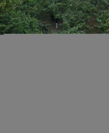 kahverengi-kokarcayla-mucadele-ediliyor