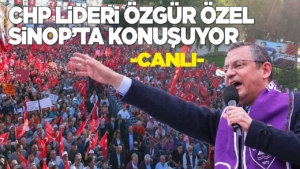 o-z-g-u-r-o-z-e-l-s-i-n-o-p947984
