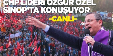 o-z-g-u-r-o-z-e-l-s-i-n-o-p947984