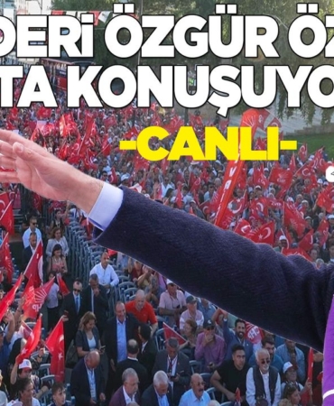 o-z-g-u-r-o-z-e-l-s-i-n-o-p947984