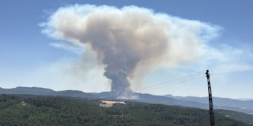 ogle-saatlerinde-orman-yangini