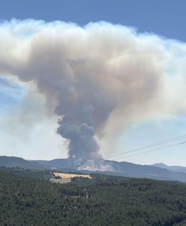 ogle-saatlerinde-orman-yangini