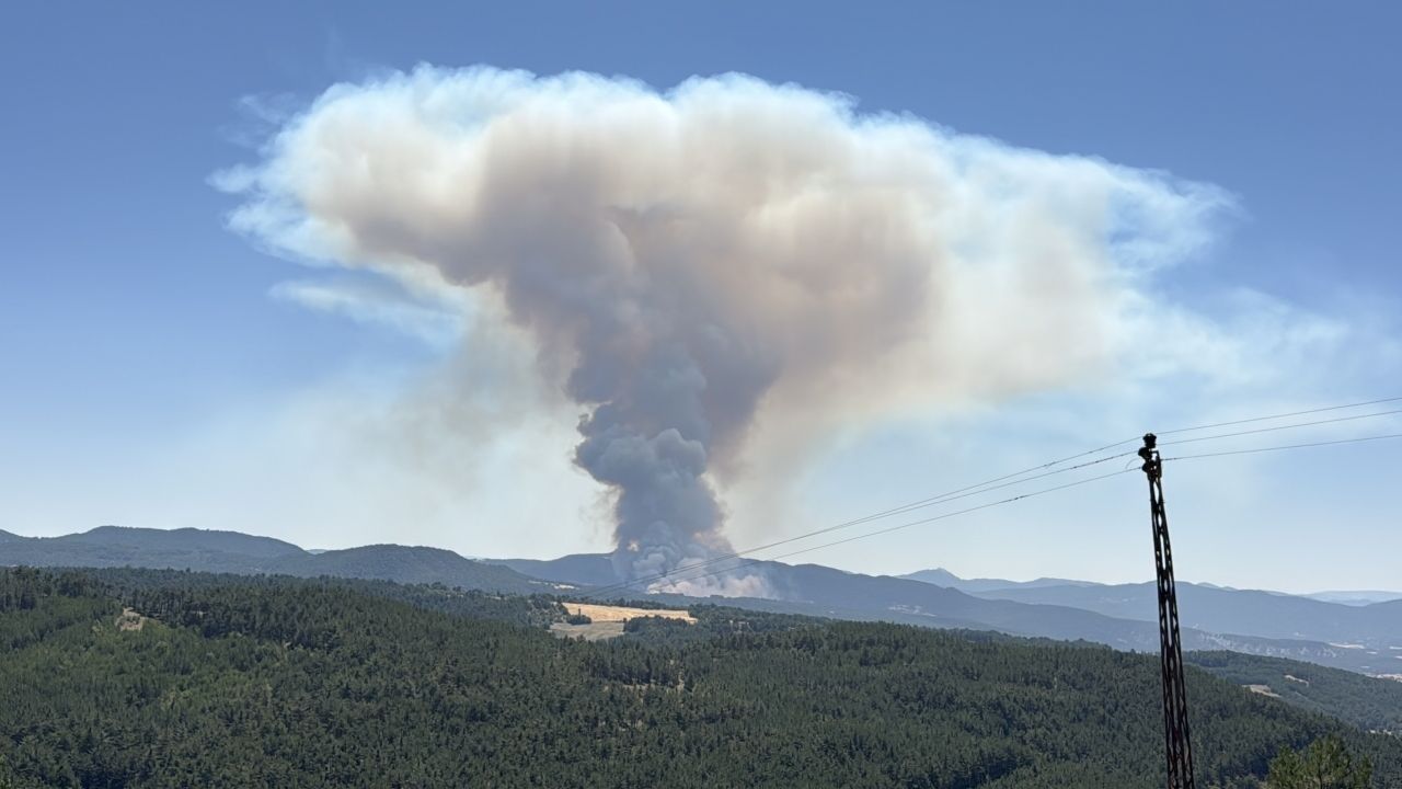 ogle-saatlerinde-orman-yangini