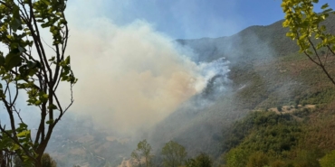 ormanlik-alanda-cikan-yangina-mudahale-ediliyor