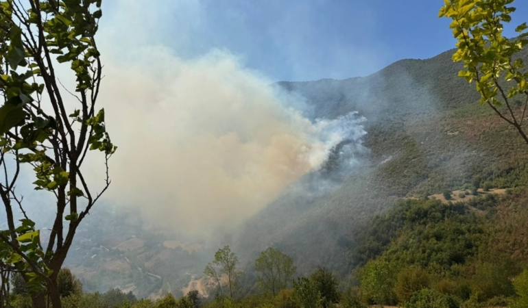 ormanlik-alanda-cikan-yangina-mudahale-ediliyor