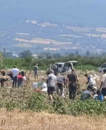 patates-tarlasindaki-urunleri-ucretsiz-dagitti