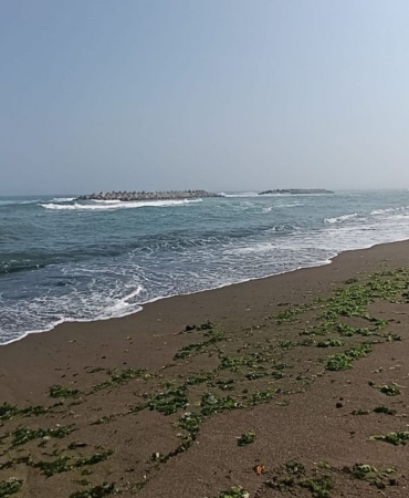 sakarya-ve-duzcede-denize-giris-yasagi